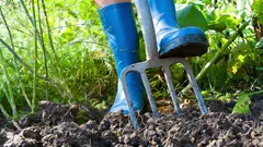 Tuin in maart: 4 uiterst belangrijke klussen die je vóór het einde van de maand moet doen