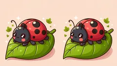 Aandachtstest: vind 3 verschillen in de afbeelding van het lieveheersbeestje in 29 seconden